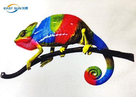 Giá tốt Màng PET A3 truyền nhiệt có thể in 600mm để in phun DTF trực tuyến