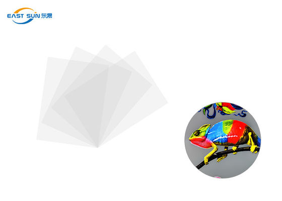 Giá tốt Chiều rộng thông thường 60cm 33cm 30cm DTF Phim truyền nhiệt Màu trắng trực tuyến